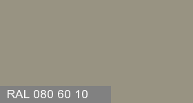 Фото 2 - Колеровка  1 доза в цвет RAL 080 60 10  Light Khaki "Светлый Хаки"  (база "A", на 0,9л краски).