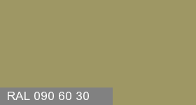 Фото 18 - Колеровка  1 доза в цвет RAL 090 60 30 Camuflage Olive "Защитный Оливковый"  (база "C", на 0,9л краски).