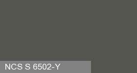 Фото 5 - Колеровка  1 доза по цвету NCS S 6502-Y (база "C", на 0,9л краски).