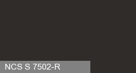 Фото 4 - Колеровка  1 доза по цвету NCS S 7502-R (база "С", на 0,9л краски).