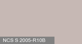 Фото 10 - Колеровка  1 доза по цвету NCS S 2005-R10B (база "A", на 0,9л краски).