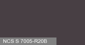 Фото 16 - Колеровка  1 доза по цвету NCS S 7005-R20B (база "C", на 0,9л краски).