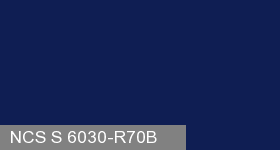 Фото 4 - Колеровка  1 доза по цвету NCS S 6030-R70B (база "C", на 0,9л краски).