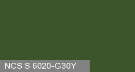 Фото 12 - Колеровка  1 доза по цвету NCS S 6020-G30Y (база "C", на 0,9л краски).