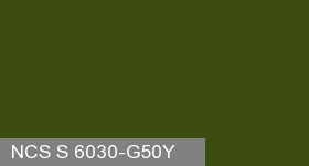 Фото 19 - Колеровка  1 доза по цвету NCS S 6030-G50Y (база "C", на 0,9л краски).