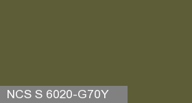 Фото 14 - Колеровка  1 доза по цвету NCS S 6020-G70Y (база "C", на 0,9л краски).