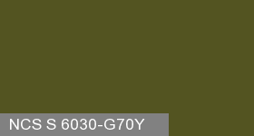 Фото 20 - Колеровка  1 доза по цвету NCS S 6030-G70Y (база "C", на 0,9л краски).