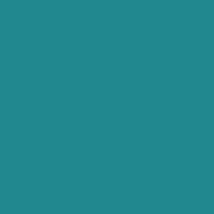Фото 12 - Краска Eskaro Mattilda по цвету RAL 5018 Бирюзово-синий, матовая, акрилатная, моющаяся, для внутренних работ, Эскаро Матильда, 10.8 кг.