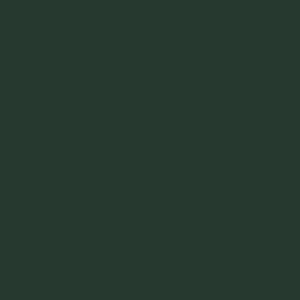 Фото 19 - Краска Eskaro Mattilda по цвету RAL 6009 Зеленая пихта, матовая, акрилатная, моющаяся, для внутренних работ, Эскаро Матильда, 10.8 кг.