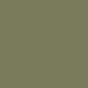 Фото 27 - Краска Eskaro Mattilda по цвету RAL 6013 Зеленый тростник, матовая, акрилатная, моющаяся, для внутренних работ, Эскаро Матильда, 10.8 кг.