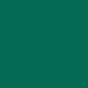 Фото 33 - Краска Eskaro Mattilda по цвету RAL 6016 Бирюзово-зелёный, матовая, акрилатная, моющаяся, для внутренних работ, Эскаро Матильда, 10.8 кг.