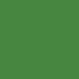 Фото 35 - Краска Eskaro Mattilda по цвету RAL 6017 Майская зелень, матовая, акрилатная, моющаяся, для внутренних работ, Эскаро Матильда, 10.8 кг.