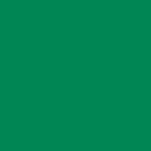 Фото 27 - Краска Eskaro Mattilda по цвету RAL 6024 Транспортный зелёный, матовая, акрилатная, моющаяся, для внутренних работ, Эскаро Матильда, 10.8 кг.