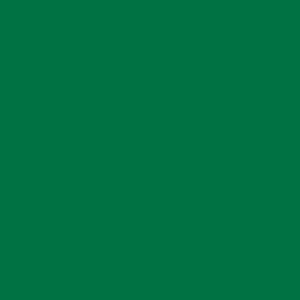 Фото 17 - Краска Eskaro Mattilda по цвету RAL 6029 Зеленая мята, матовая, акрилатная, моющаяся, для внутренних работ, Эскаро Матильда, 10.8 кг.