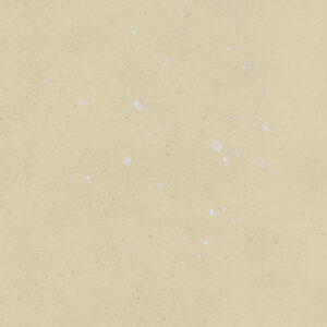 Фото 21 - Краска  "Authentic" цвет - Морская коряга, с эффектом минеральной стены  [2л] ID Deco / АйДи Деко.